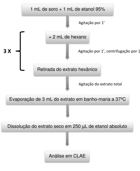 Figura  9  -  Esquema  da  extração  de  retinol  das  amostras  de  soro  materno  e  do  cordão umbilical