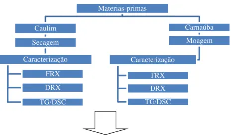 Figura 3  – Esquema de procedimento experimental. 