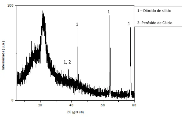 Figura 26 – Difratograma da Palha 