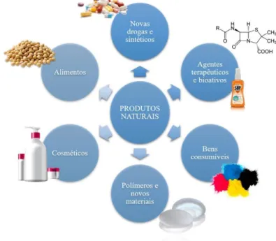 Figura 1 - Algumas aplicações da química dos produtos naturais. 