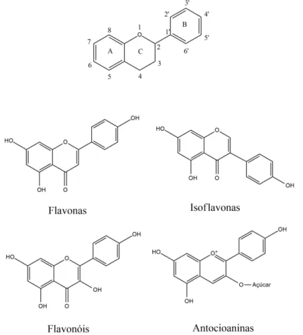 Figura  5  – Estrutura básica dos  flavonoides (a cadeia de  três  carbonos é representada pelos  carbonos 2, 3 e 4) seguida dos 4 principais grupos
