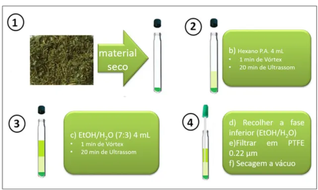 Figura 13 -  Esquema de microextração do teste 1. 