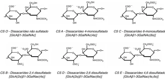 Figura 1  – Principais tipos de condroitim sulfato conhecidos. Fonte: Adaptada de Volpi, 2009.
