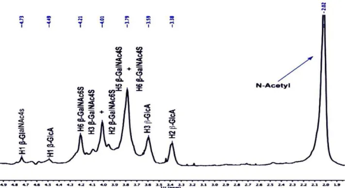 Figura  9  -  Espectro  de  Ressonância  Magnética  Nuclear  1 H  de  condroitim  sulfato  isolado  da 