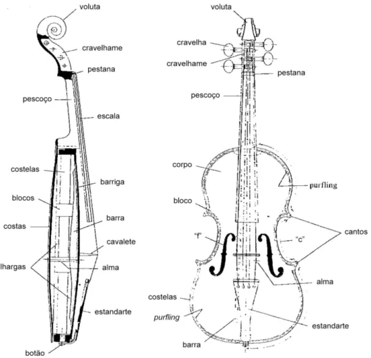Figura 6 – Partes constituintes de um violino, baseado em Grove and Sadie, 1980. 
