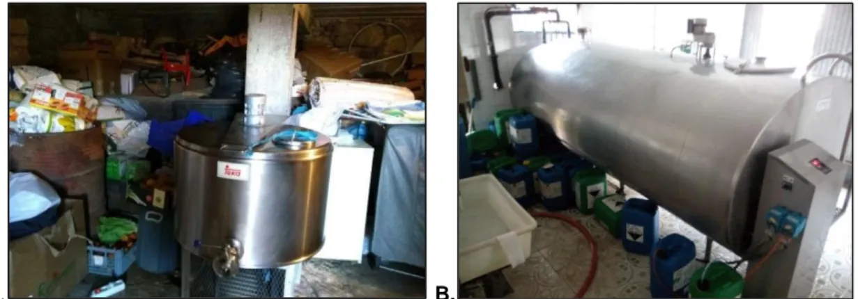 Figura 5- A: Tanque de armazenamento de leite cru em local inapropriado. B: Material obsoleto e  detritos junto a tanque de armazenamento