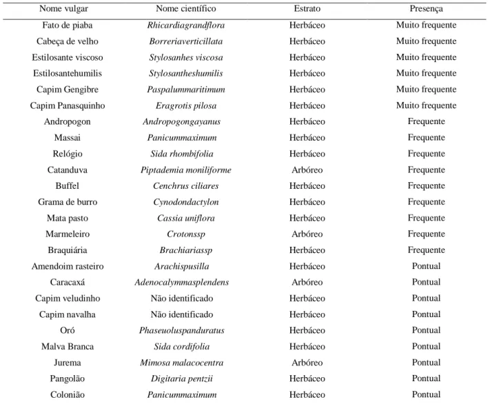 Tabela 1- Relação das principais espécies encontradas em áreas de pastagens, como nome vulgar, 
