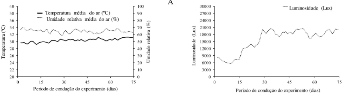 Figura 2  –  Valores médios diários referentes à temperatura e umidade relativa do ar  (A) e luminosidade  (B), durante a condução do experimento 