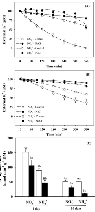 Figure 2. Net K +  depletion (A, B) and uptake rates (C) by Sorghum bicolor roots. The assays  were performed using plants grown in nutrient solutions containing NO 3 –  or NH 4 + , after 1 (A)  and 10 days (B) in absence (control) or presence of 75 mM NaC