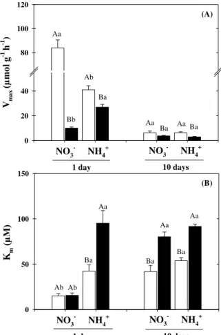 Figure 3. Kinetic parameters of K +  uptake derived from roots of Sorghum bicolor plants grown  in nutrient solutions containing NO 3 –  or NH 4 + , in absence (open bar) or presence (closed bar)  of 75 mM NaCl-stress