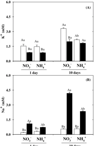 Figure 6. Concentrations of K +  (A) and Na +  (B) in xylem sap of Sorghum bicolor plants grown  in nutrient solutions containing NO 3 –  or NH 4 +  as inorganic nitrogen source, in absence (open  bar) or presence (closed bar) of 75 mM NaCl-stress