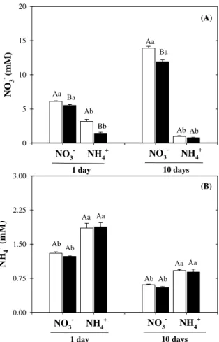 Figure 10. Concentrations of nitrate (NO 3 − ) (A) and ammonium (NH 4 + ) (B) in xylem sap of  Sorghum bicolor plants grown in nutrient solutions containing NO 3 –  or NH 4 + , in absence (open  bar) or presence (closed bar) of 75 mM NaCl-stress