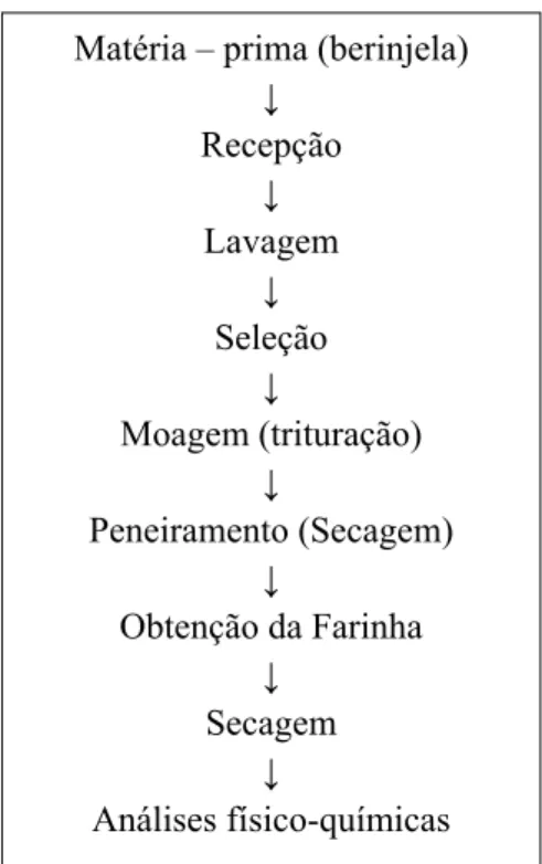 Figura 2 - Fluxograma de obtenção da farinha de berinjela 