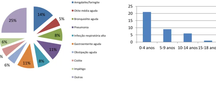 Gráfico 10: Principais diagnósticos no SU do HDE                                Gráfico 9: Distribuição dos doentes observados por idade