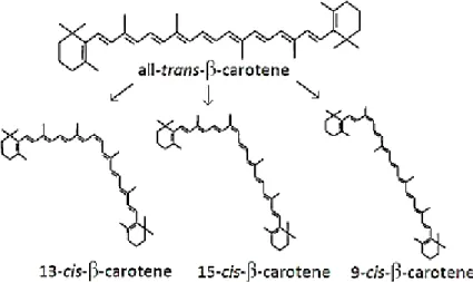 Figure 3.2.2.1. β-carotene Isomers: Thermal degradations (Rodriguez-Amaya et al., 2008)