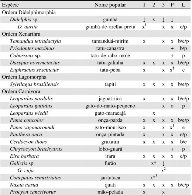 Tabela 11. Espécies de mamíferos de médio e grande porte registradas no Parque Estadual  do Rio Doce (PERD) e entorno entre alguns estudos