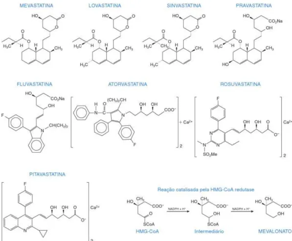Figura 3 - Estrutura química das estatinas e a reação catalisada pela enzima HMG-CoA redutase  FONTE: MAHLEY &amp; BERSOT, 2006