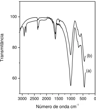 Figura 6. Espectro no infravermelho da vermiculita expandida (a) e  hidrofobizada com cera  de carnaúba (b)