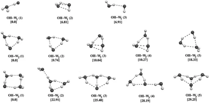 FIG. 1. Structure of the optimized OH–W N clusters (N ⫽ 1 – 3). The first structure 共 1 兲 is the most stable isomer