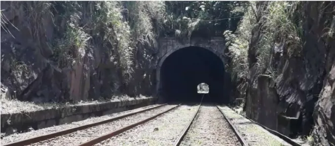 FIGURA 7  Túnel14 (2018) 