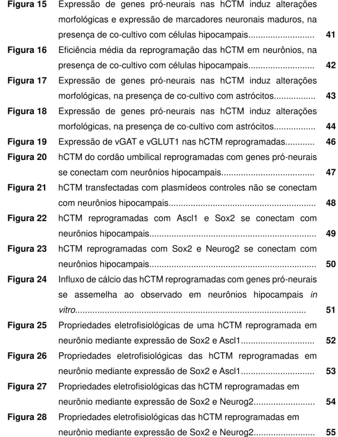 Figura 15  Expressão de genes pró-neurais nas hCTM induz alterações 