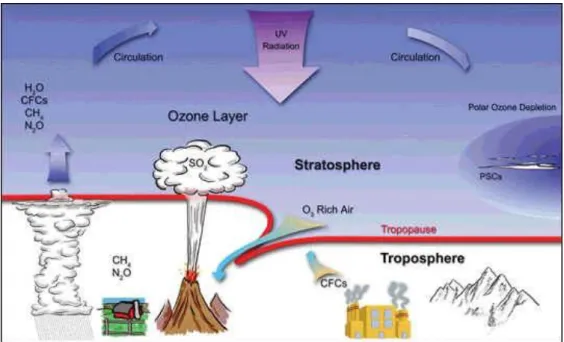 Figura 9 – Fatores que afetam a camada do ozono (The ozone hole, 2014). 