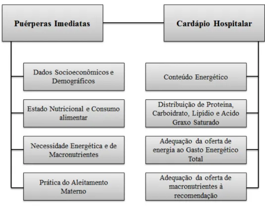 Figura 1 – Eixos de avaliação do estudo. 