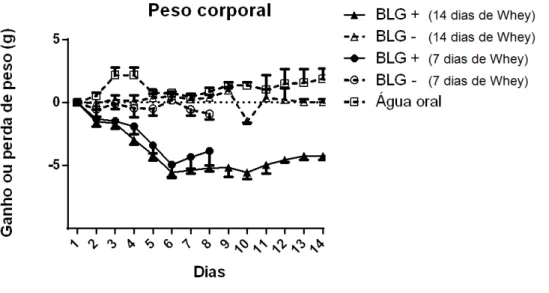 Figura 6 –  Peso corporal dos camundongos sensibilizados e desafiados com BLG por via  oral