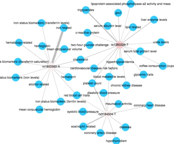 Figure 2.8: SNP-Disease Network for SNP hubs. Filters used: Network = SNP- SNP-Disease Network, Ancestry = Risk-allele Frequency - African, SNP - Risk-allele =