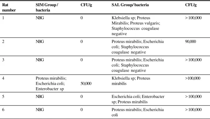 TABLE 3 - Detection of bacteria in the wound fluid of animals in groups treated with simvastatin (SIM) and treated with