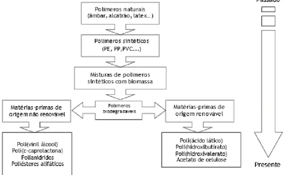 Figura 3.2. Desenvolvimento de polímeros ao longo do tempo, adaptado de Sin et al. (2012b)