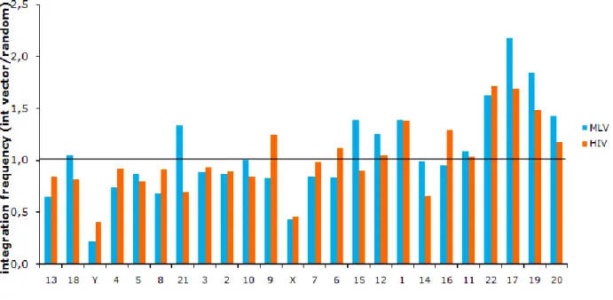 Figure  8.  Frequency  of  integration  of  MLV  (blue  bars)  and  HIV  (orange  bars),  in  relation  to  the  control,  according to the gene density of chromosomes in primary human keratinocytes