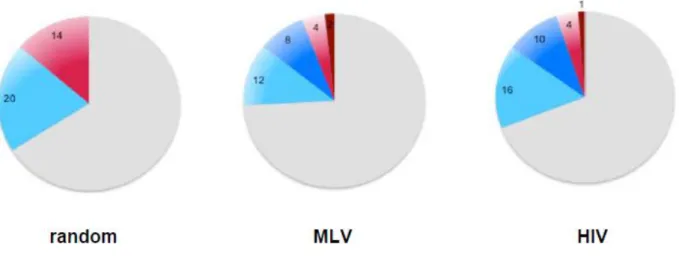 Figure  12.  Proportion  of  genes  targeted  by  random,  MLV  and  HIV  distribution,  in  the  genome  of  human  Cd34+  cells