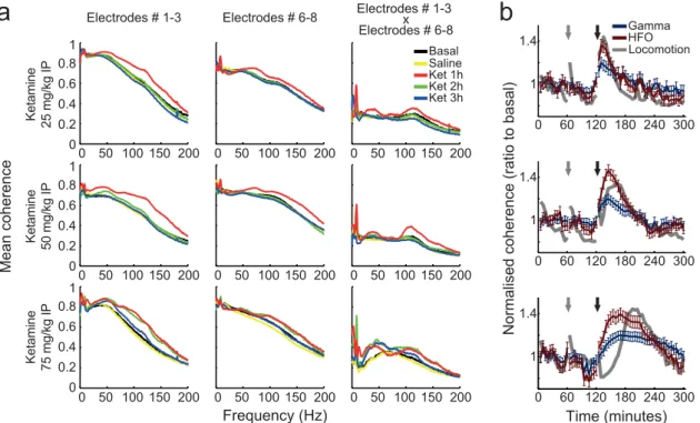Figure 5 | Ketamine induces hypersynchrony in multiple frequency bands in the hippocampus
