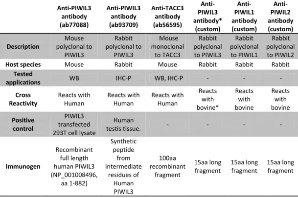 Table 2 ‐ Detailed description of the antibodies used. The (*) regarding the bovine PIWIL3 symbolizes the predicted details on the onset of this project. All the custom antibodies are thought not to be specific and further tests have to be done to address 