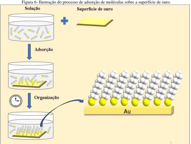 Figura 6- Ilustração do processo de adsorção de moléculas sobre a superfície de ouro. 