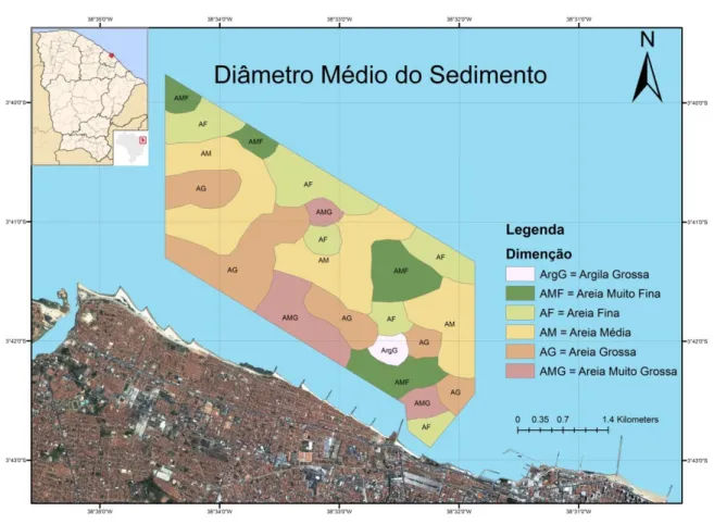 Figura 10: Mapa com as facies sedimentares relacionadas ao diâmetro do sedimento de 2010