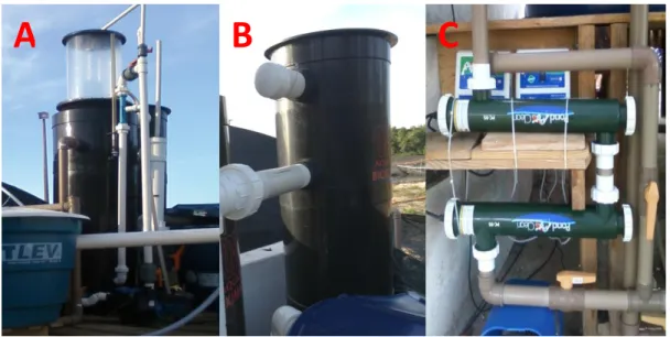 Figura 18  –  Skimmer (A), filtro biológico (B) e filtros ultravioleta (C) utilizados no sistema de  recirculação utilizado na quarentena dos peixes marinhos capturados em currais de pesca para  uso em aquários de exposição pública