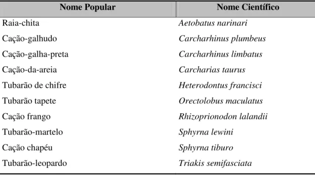 Tabela 2  -  Lista das  espécies de elasmobrânquios que o AquaMundo declarou interesse em  adquirir