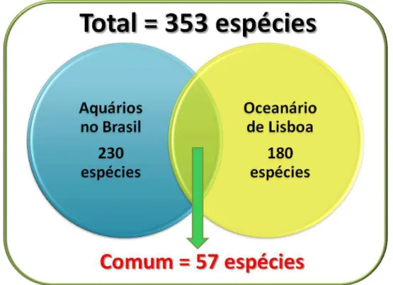 Figura  6  -  Esquema  ilustrativo  de  biodiversidade  de  peixes  marinhos  observada  entre  os  aquários brasileiros e o Oceanário de Lisboa