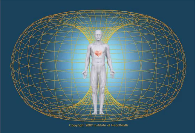 Figura 3  –  Representação do campo eletromagnético do coração humano na dinâmica     toroidal 