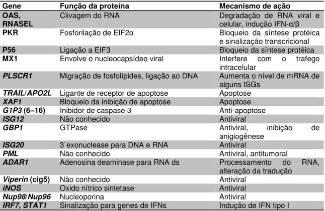 TABELA 1: Exemplos de ISGs responsáveis pela ação antiviral e antitumoral na indução  por IFNs
