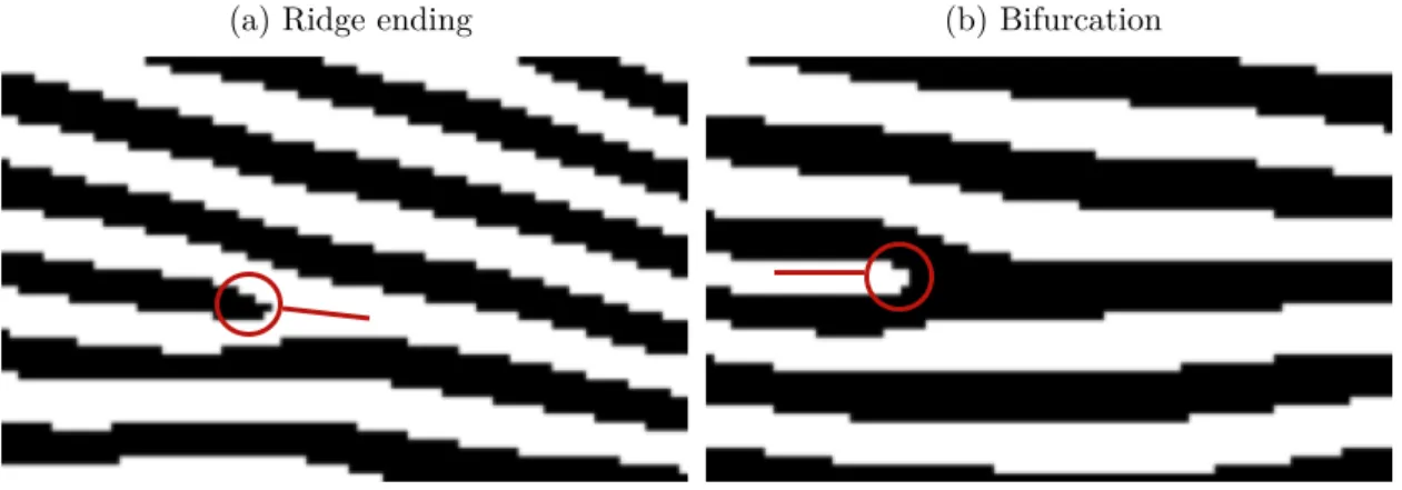 Figure 2 – Ridge ending and bifurcation example.