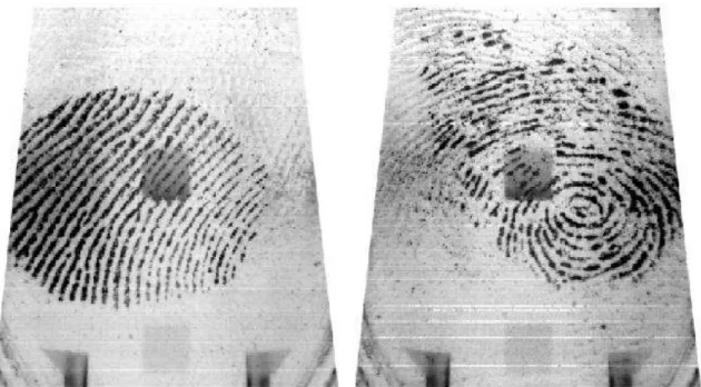 Figure 6 – Examples of fingerprints samples from the CASIA-FingerprintV5 database