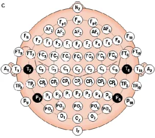 Figure 1.3.1.3 – 10-10 electrode system (Malmivuo and Plonsey, 1995). 