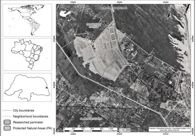 Fig.  2-  Área  de  estudo  enfatizando  com  hachura  quadriculada  o  perímetro  amostrado  (Pium,  município de Parnamirim, RN) e hachura listrada a área protegida que margeia a localidade