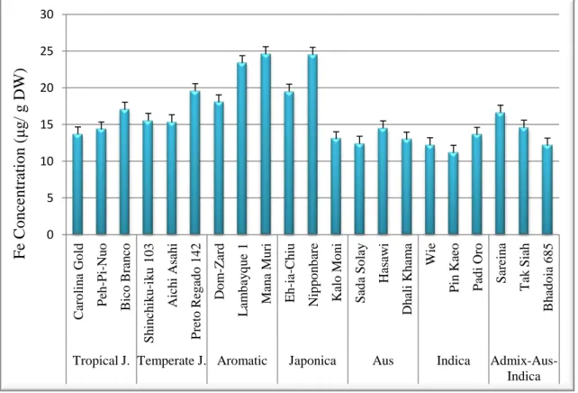 Figure 4.1.2 shows that, in general, Mana Muri seeds had the highest  concentration of  Fe,  followed by  Nipponbare and  Lambayque 1