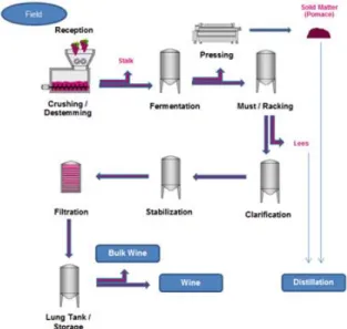 Figure 1. Process scheme of a 30.000 hL/year red wine  winery, considered reference for the four countries (Spain, 
