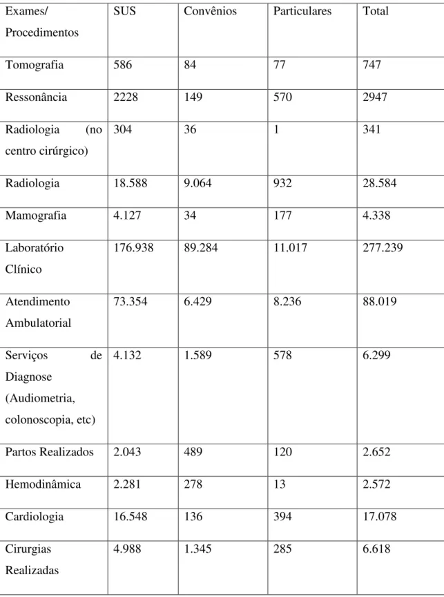 Tabela 8 Exames e procedimentos realizados no hospital Stella Maris em 2012   Exames/ 