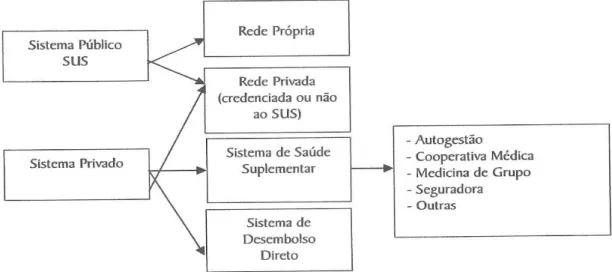 Figura 1: O Sistema Brasileiro de Saúde  Fonte: Freire (2009) 